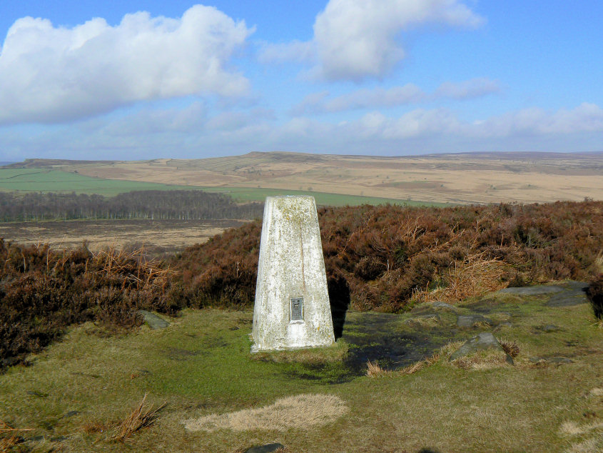 Trig Trig